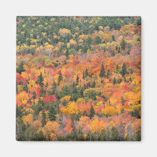 Aimant Feuillage d'automne Péninsule de Keweenaw, Michi