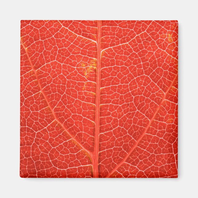 Aimant Feuille automnale (Devant)