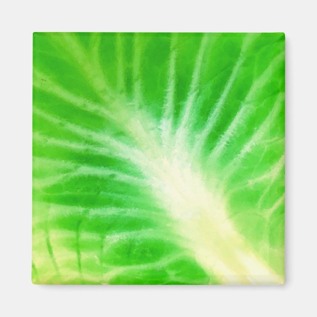 Aimant Feuille de choux (Devant)
