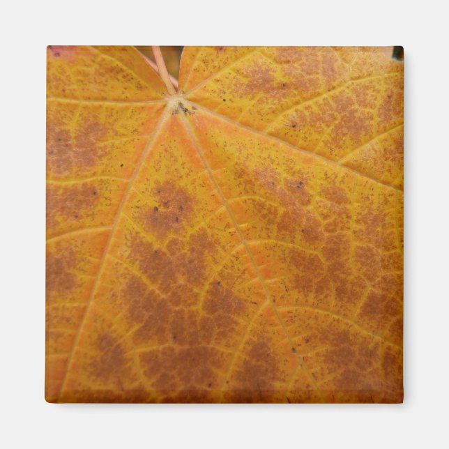 Aimant Feuille de Érable Jaune Automne Abstrait Nature (Devant)