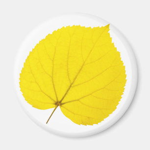Aimant Feuille de lin d'automne