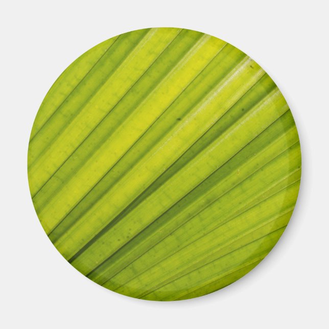 Aimant Feuille de palme (Devant)