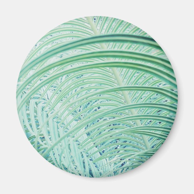 Aimant Feuille de palmier de plante verte douce (Devant)