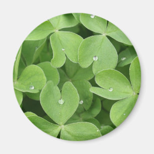 Aimant Feuille de trèfle de shamrock