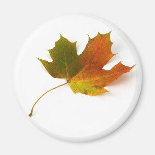 Aimant feuille d'érable