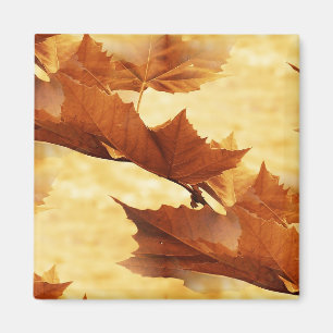 Aimant feuille d'érable