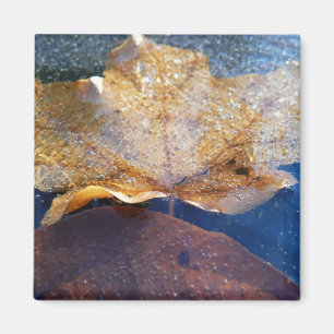 Aimant Feuille d'érable jaune congelée Automne Nature