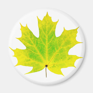 Aimant Feuille d'érable vert jaune