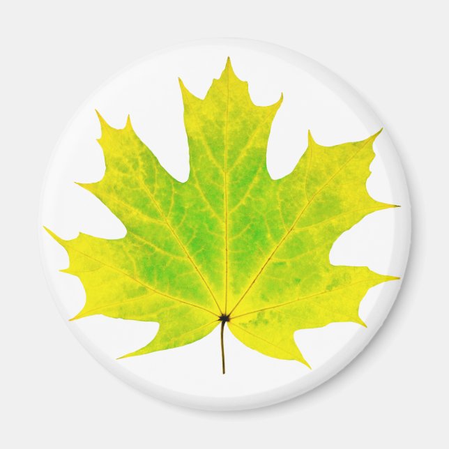 Aimant Feuille d'érable vert jaune (Devant)