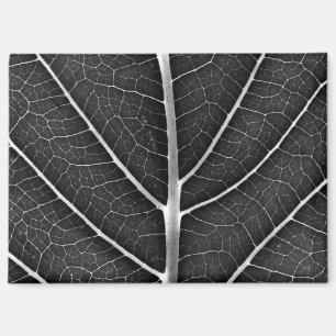 Aimant Feuille lumineuse noir et blanc en gros plan