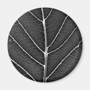 Aimant Feuille lumineuse noir et blanc en gros plan