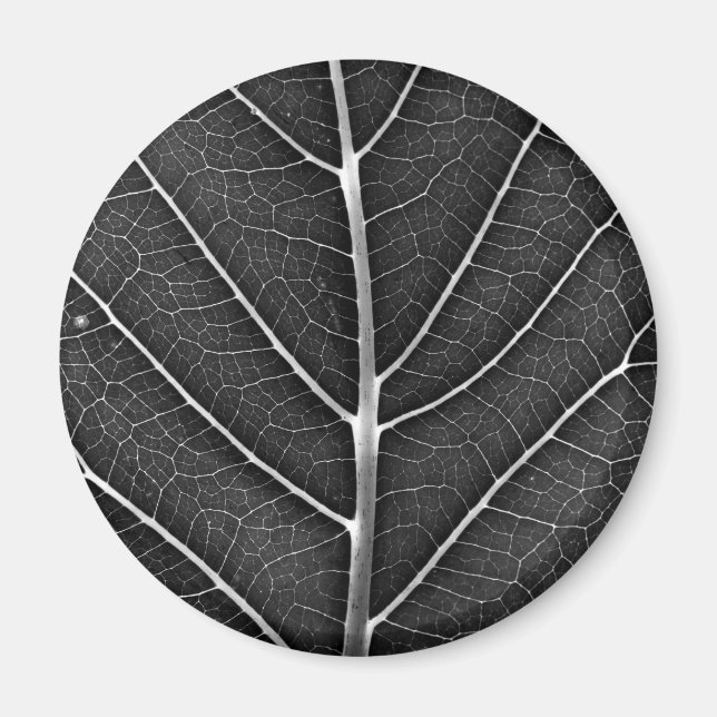 Aimant Feuille lumineuse noir et blanc en gros plan (Devant)