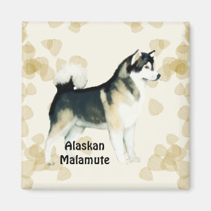 Aimant Feuille Motiff de Tan de ~ de Malamute d'Alaska