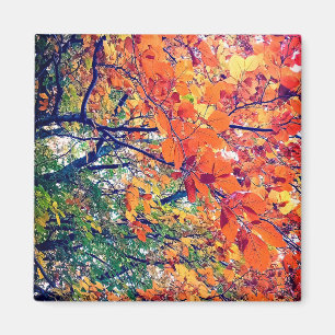 Aimant Feuille orange