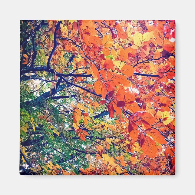 Aimant Feuille orange (Devant)