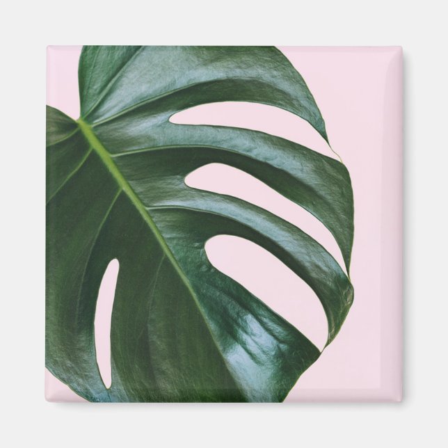 Aimant Feuille tropicale Monstera (Devant)