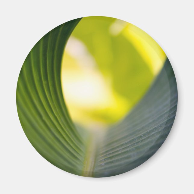 Aimant Feuille verte (Devant)