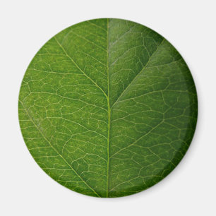 Aimant Feuille verte