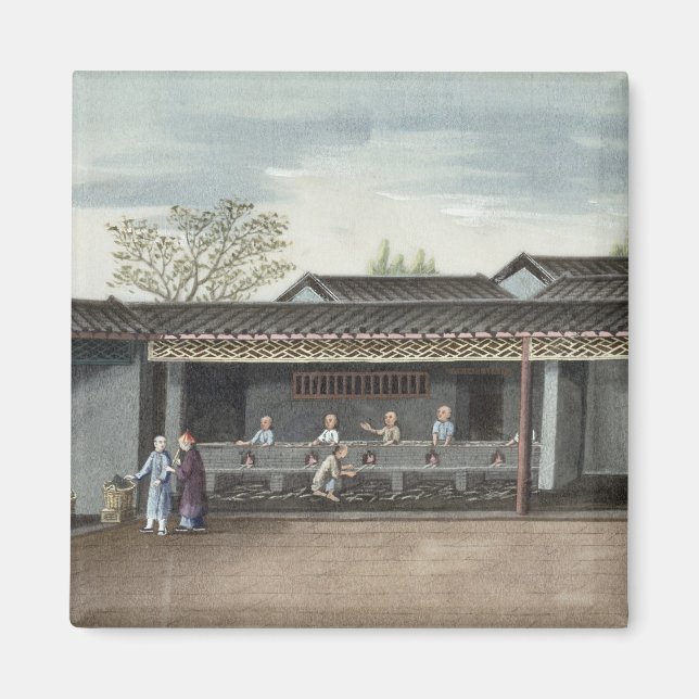 Aimant Feuilles à thé séchant (avec papier) (Devant)