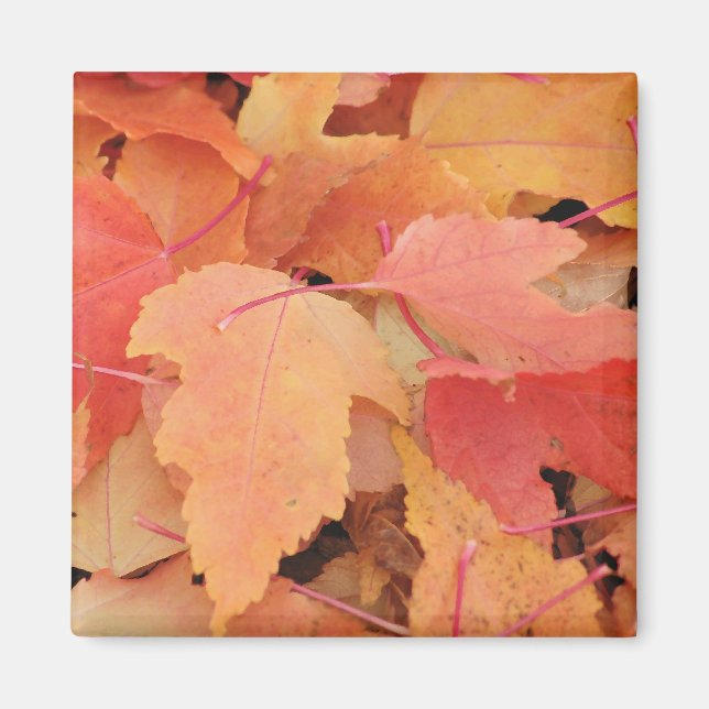 Aimant Feuilles automnales (Devant)