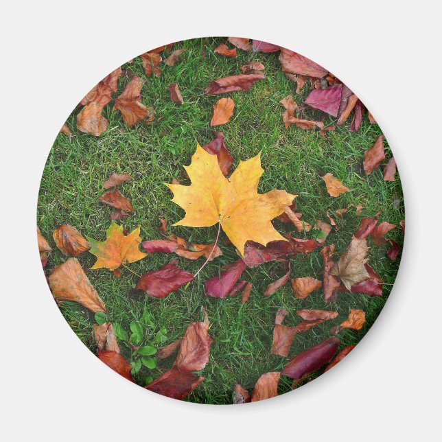 Aimant Feuilles d'automne (Devant)
