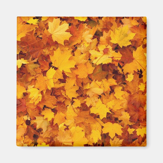 Aimant Feuilles d'automne (Devant)