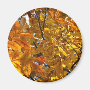Aimant Feuilles d'automne Cadeaux dorés Vêtements Article