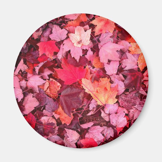 Aimant Feuilles d'automne colorées (Devant)