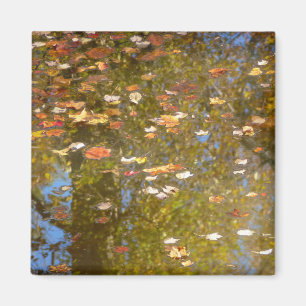 Aimant Feuilles d'automne et réflexion sur le cours d'eau