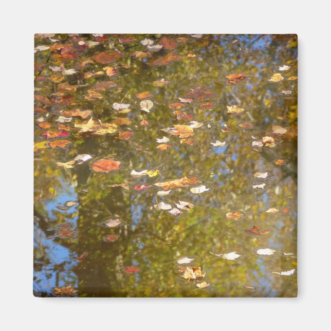 Aimant Feuilles d'automne et réflexion sur le cours d'eau (Devant)