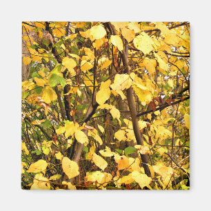 AIMANT FEUILLES D'AUTOMNE JAUNE