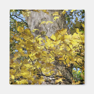 AIMANT FEUILLES D'AUTOMNE JAUNE