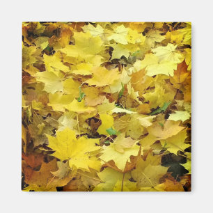 Aimant Feuilles d'automne jaunes