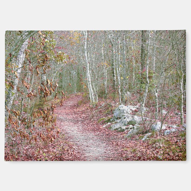 Aimant Feuilles d'automne roses Sentier Goat Rock Arkansa (Recto)