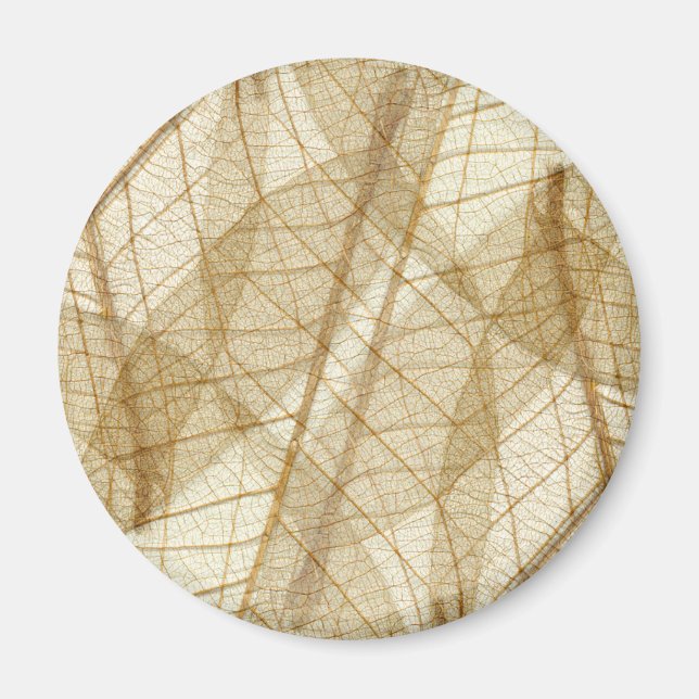 Aimant Feuilles en dentelle beige crème pâle (Devant)