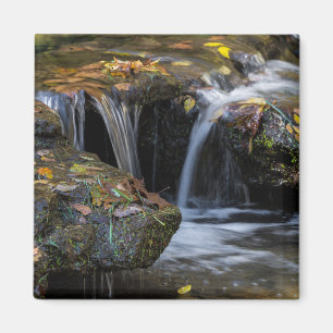 Aimant Feuilles Et Cascades