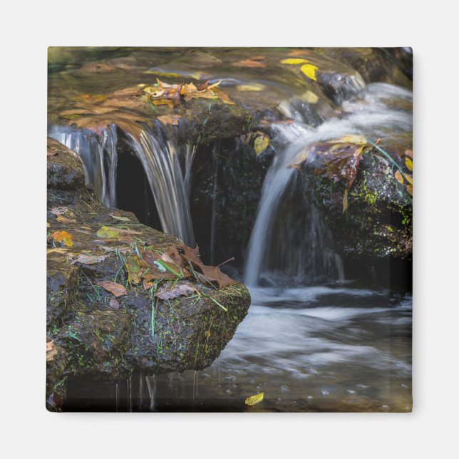 Aimant Feuilles Et Cascades (Devant)