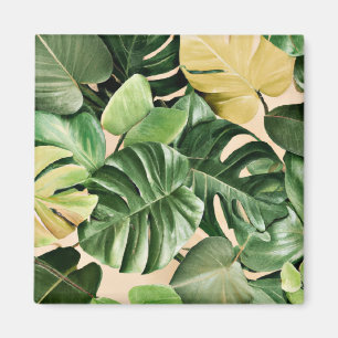 Aimant Feuilles florales/hawaïennes/tropicales