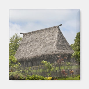 Aimant Fidji, île de Viti Levu. Centre culturel polynésie