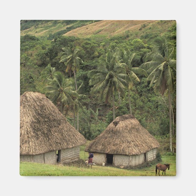Aimant Fidji, Viti Levu, Navala, maisons traditionnelles  (Devant)