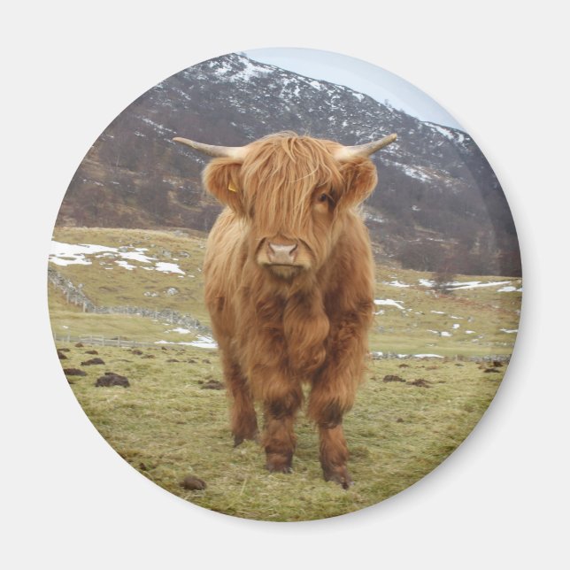 Aimant Fier d'être écossais ! (Devant)