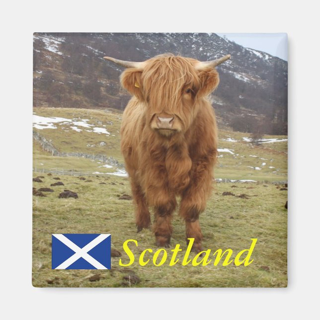 Aimant Fier d'être écossais ! (Devant)