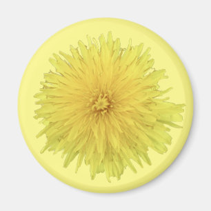 Aimant Fière Dandelion Flower - transparent.