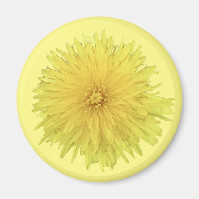 Aimant Fière Dandelion Flower - transparent. (Devant)