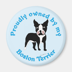 Aimant Fièrement possédé par Boston Terrier