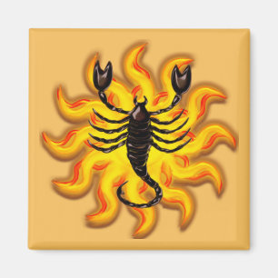 Aimant Fiery Scorpio