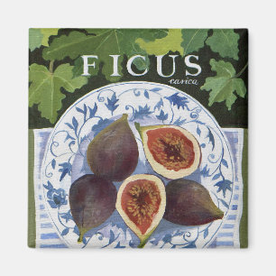 Aimant Fieus