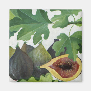 Aimant Figues 2013