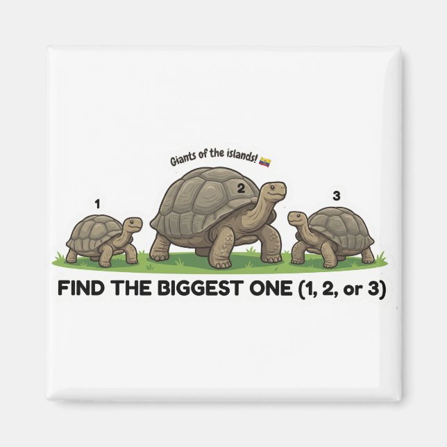 Aimant Find the Biggest One Animal World Quest for Toddle (Devant)