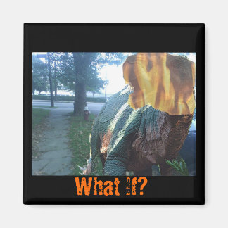 Aimant Firery Dino, Et Si ?